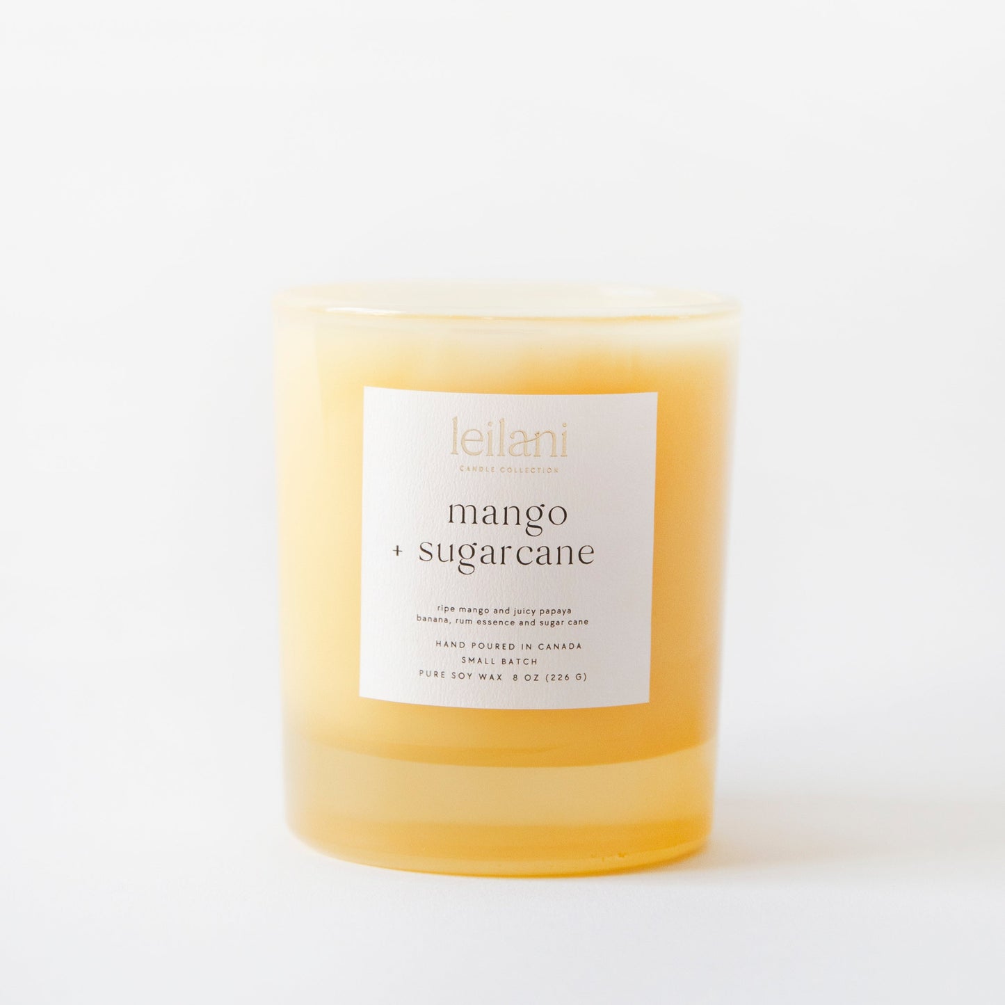 Mango + Sugarcane - Candle Jar